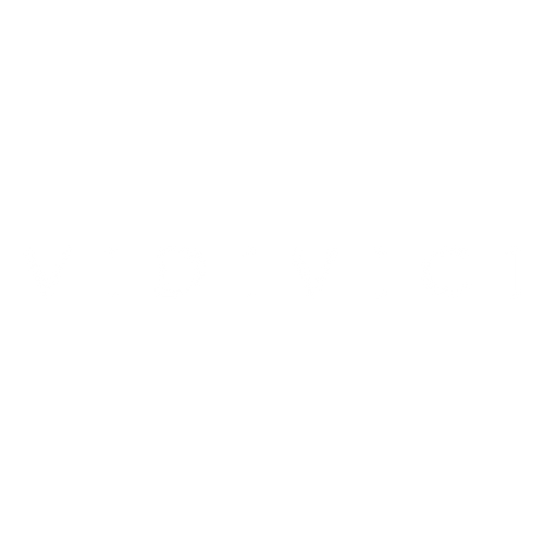 VIDIVICI