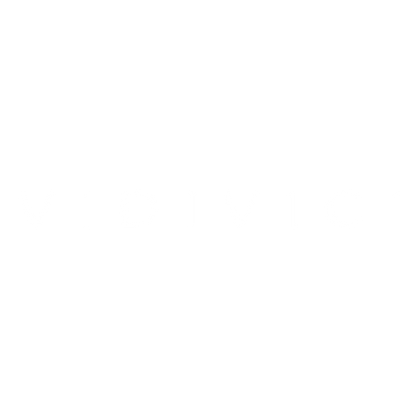 VIDIVICI